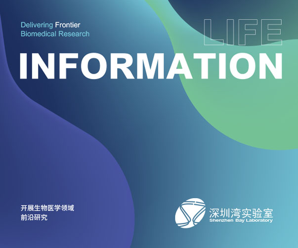 文字標志設計入門——上海設計師用字體塑造品牌力量